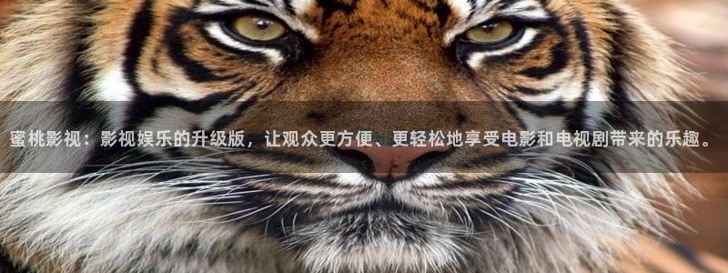 北上电视剧免费播放电视剧星辰影院：蜜桃影视：影视娱乐的升级版，让观众更方便、更轻松地享受电影和电视剧带来的乐趣。