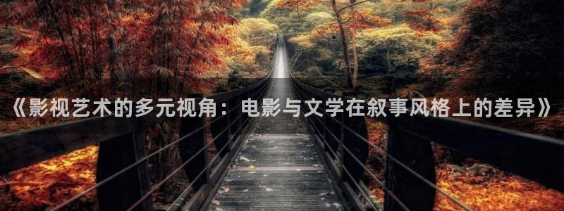 长乐曲免费看星辰影院：《影视艺术的多元视角：电影与文学在叙事风格上的差异》
