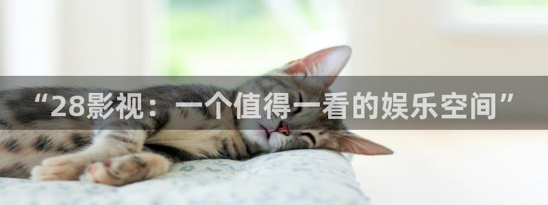 闯关东星辰影视